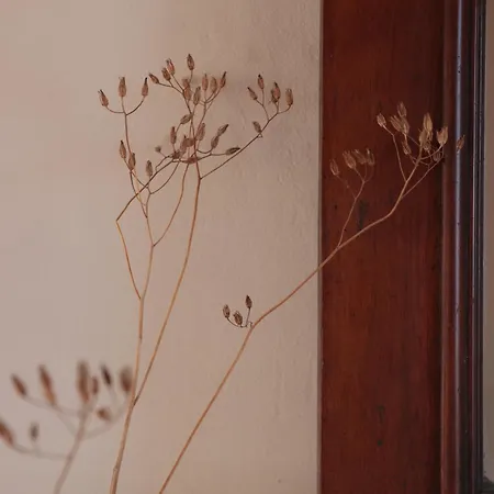 Casa Pauseto *